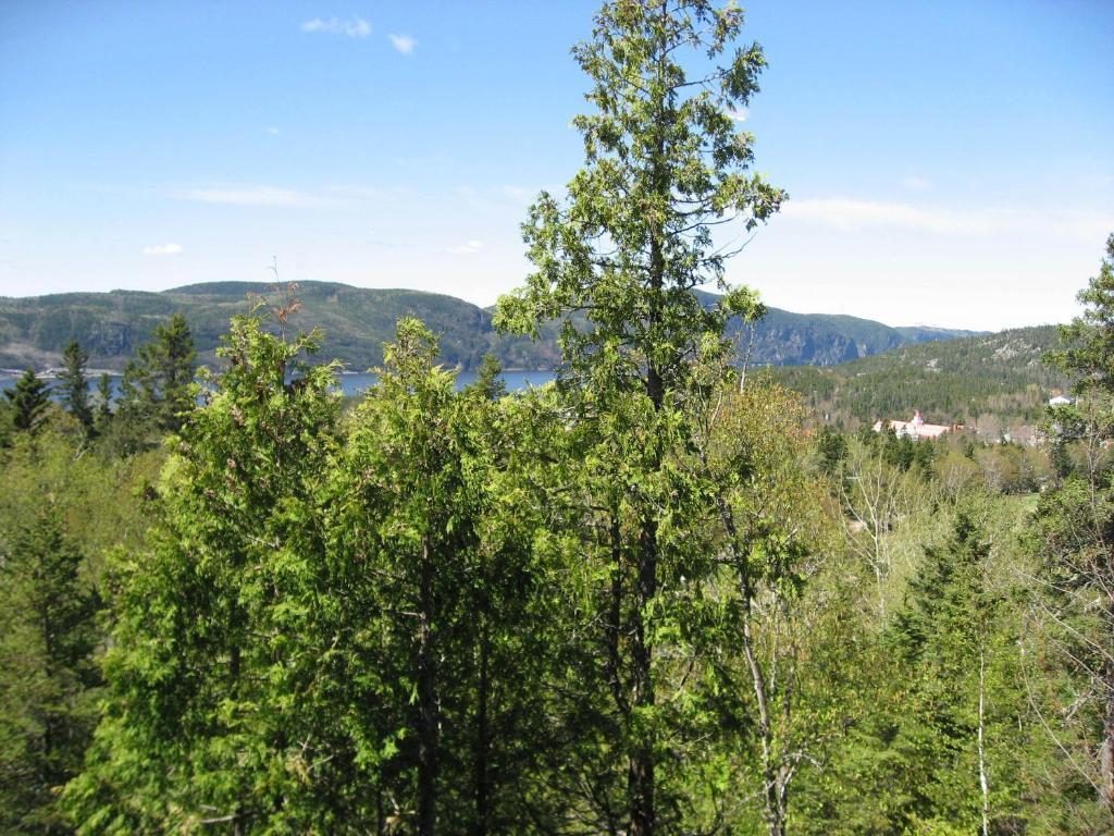 Chalet De La Montagne Vila Tadoussac Exterior foto